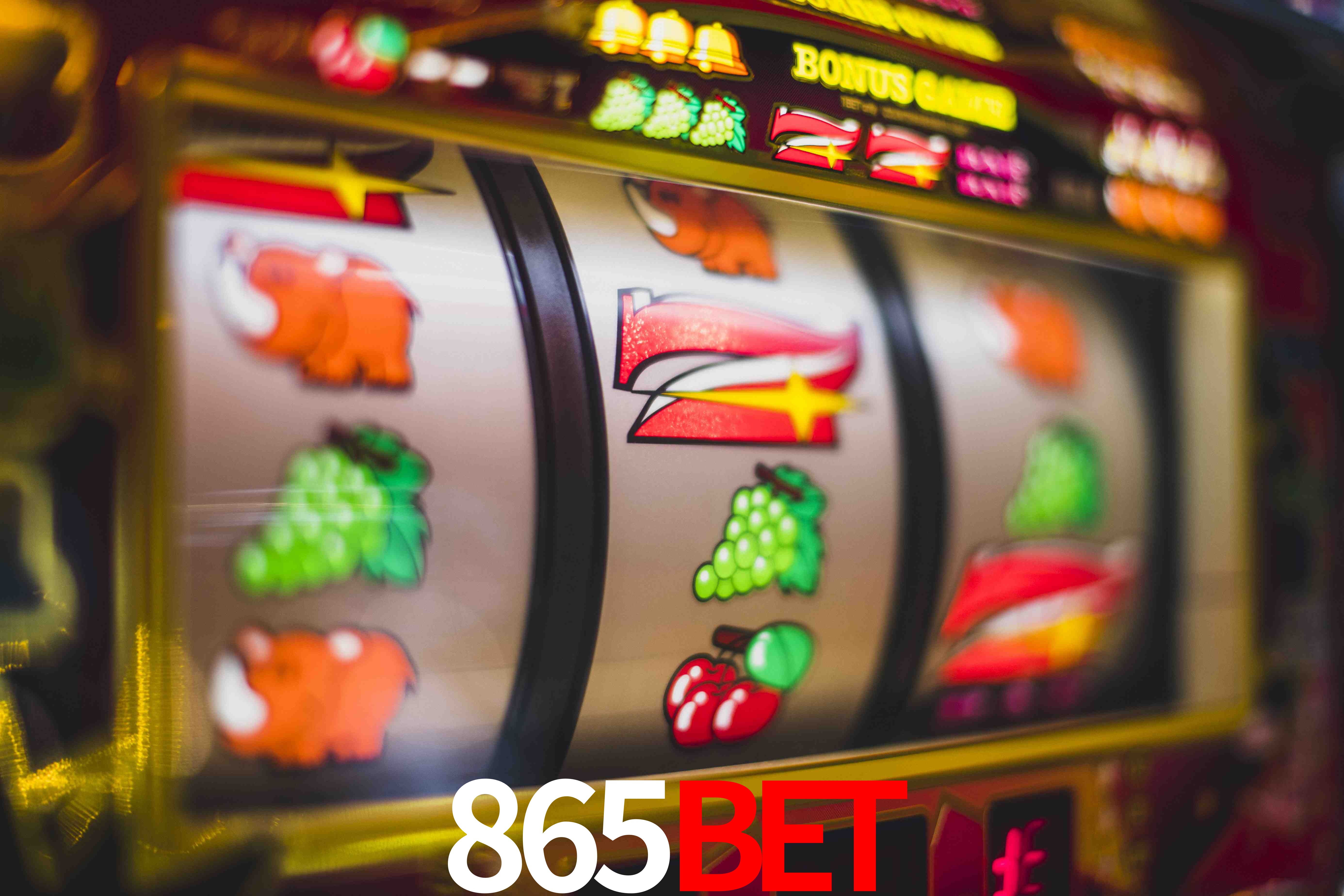 VIP Casino 865bet